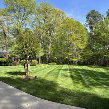 Best Lawn Care Services in Rutherfordton NC